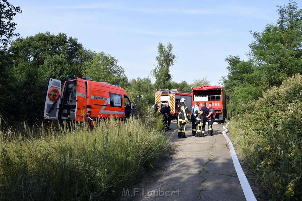 Waldbrand Koeln Hoehenhaus Hoehenfelder Mauspfad P033.JPG - Miklos Laubert